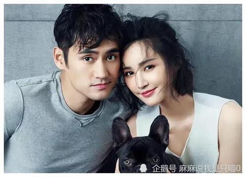 娱乐圈业内吃瓜,揭秘幕后真相，吃瓜群众齐围观！