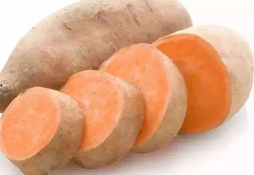 娱乐吃瓜酱地瓜